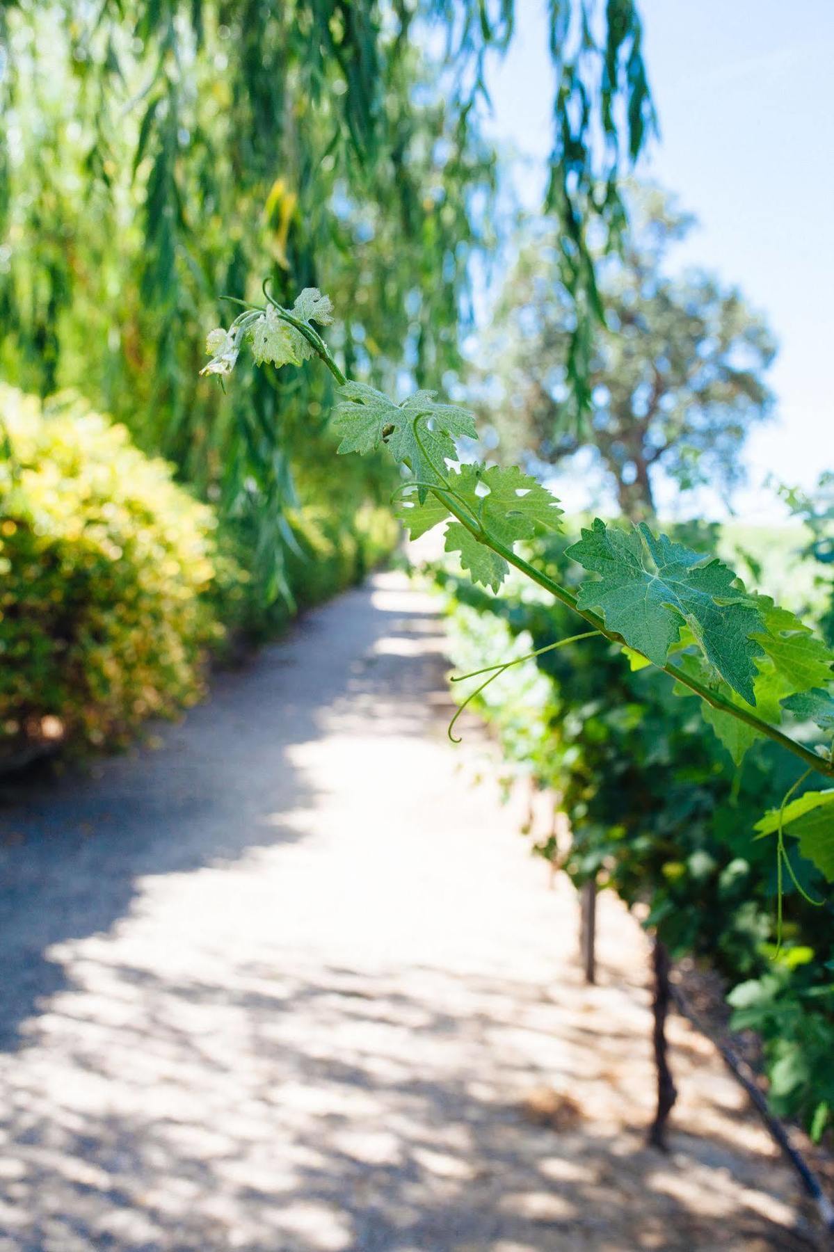 Sun Outdoors Central Coast Wine Country Paso Robles Exteriér fotografie
